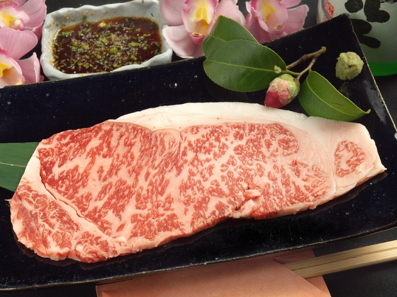 知多牛の魅力を紹介 知多牛 アグリス Jaあいち知多