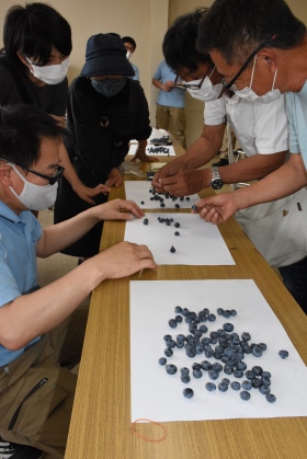 本格出荷前に規格を確認 ブルーベリー目ぞろえ会 ほっとニュース アグリス Jaあいち知多