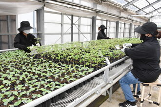 株式会社ＪＡファームちた