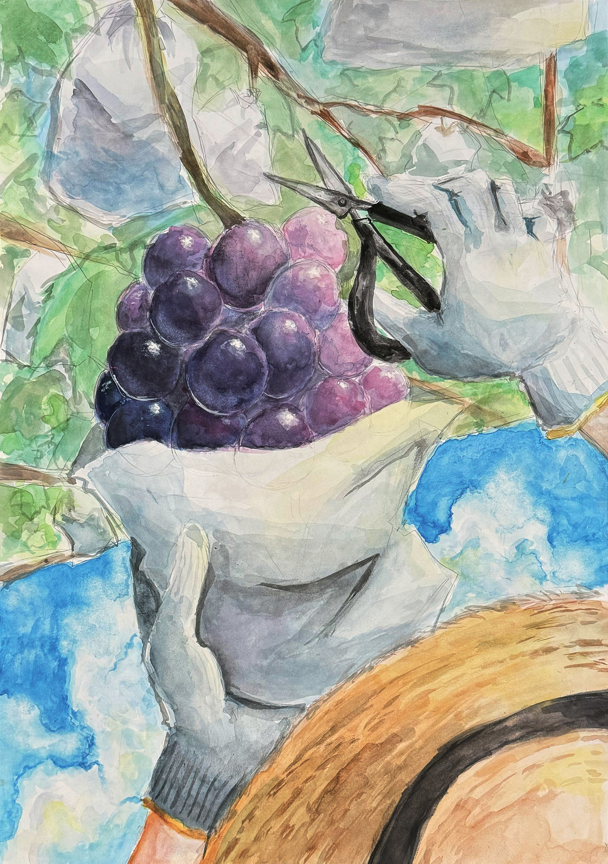 知多半島 農のある風景」図画コンクール 3部（中学校1～3年